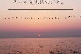 费县背景调查